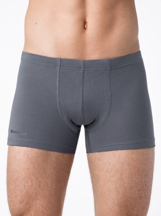 Брестские ТРУСЫ МУЖСКИЕ BOXER SHORTS 6300C (бандероль)
