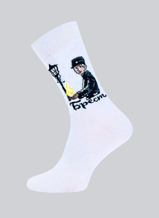 БРЕСТСКИЕ НОСКИ 4200 EVERY (средней длины)