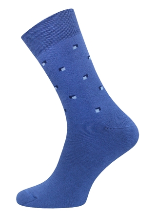 БРЕСТСКИЕ НОСКИ МУЖСКИЕ 2424 ARCTIC (махровые)