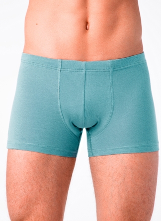 Брестские Трусы мужские ALFA BOXER 16С6300