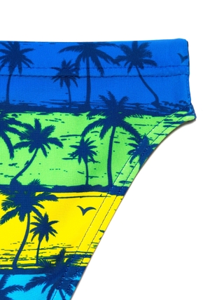 ESLI Плавки для мальчиков PALM BEACH