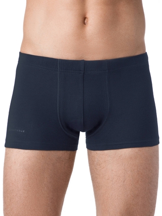 Брестские ТРУСЫ МУЖСКИЕ BOXER BRIEFS 6200C (бандероль)