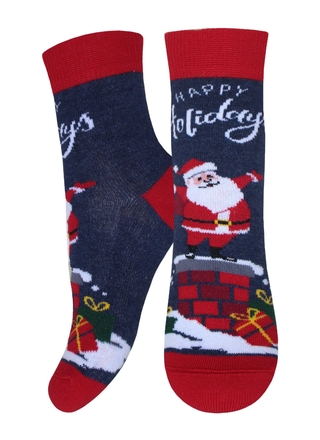 БРЕСТСКИЕ НОСКИ ДЕТСКИЕ 3079 SCHOOL (рисунок НГ)