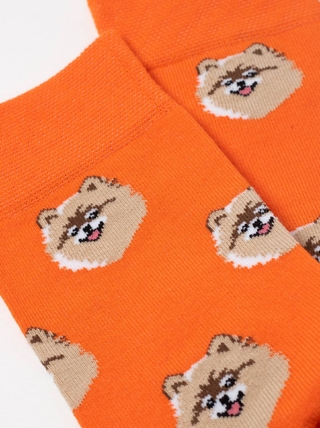 Брестские Носки 4200 PETS (средней длины)