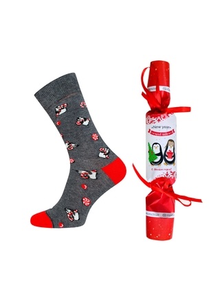 Брестские Носки 4200К SOXY (упакованы в виде конфеты)