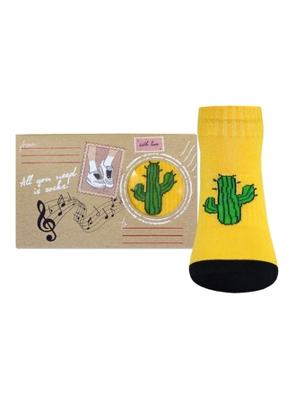 БРЕСТСКИЕ НОСКИ МУЖСКИЕ 2327 ACTIVE (конверты) 