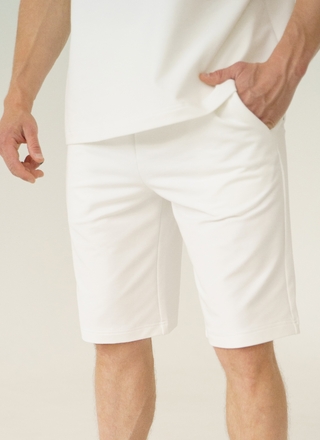 ALFA ШОРТЫ МУЖСКИЕ 6431