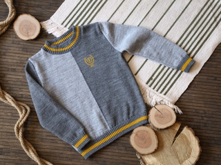 ESLI LEO джемпер для мальчика 