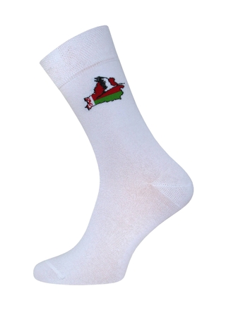 БРЕСТСКИЕ НОСКИ МУЖСКИЕ 2127 CLASSIC (средней длины)