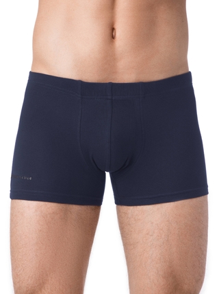 Брестские ТРУСЫ МУЖСКИЕ BOXER SHORTS 6300C (бандероль)