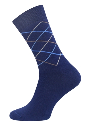 БРЕСТСКИЕ НОСКИ МУЖСКИЕ 2424 ARCTIC (махровые)