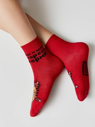 БРЕСТСКИЕ НОСКИ ДЕТСКИЕ 3053 СМФ "Попугай Кеша" (средней длины)