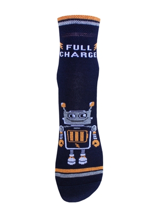 БРЕСТСКИЕ НОСКИ ДЕТСКИЕ 3081 SCHOOL (рисунок)