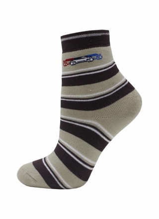 БРЕСТСКИЕ НОСКИ ДЕТСКИЕ 3060 SCHOOL (махровые)