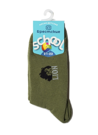 БРЕСТСКИЕ 3060 SCHOOL НОСКИ ДЕТСКИЕ (махровые)