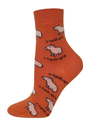 БРЕСТСКИЕ НОСКИ ДЕТСКИЕ 3081 SCHOOL (рисунок)