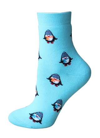 Брестские Arctic 1408