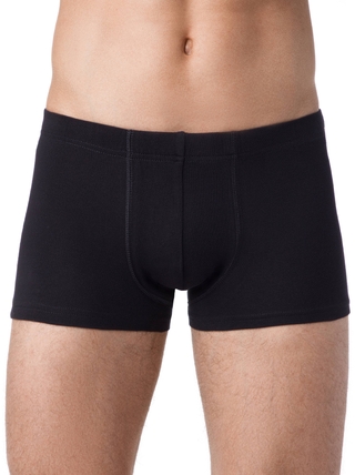Брестские ТРУСЫ МУЖСКИЕ BOXER BRIEFS 6200C (бандероль)
