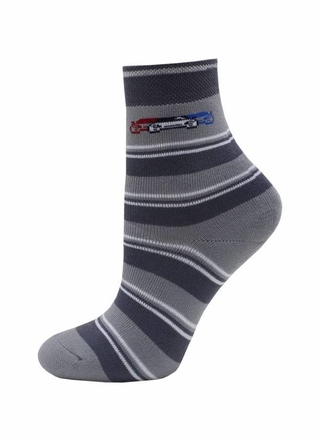 БРЕСТСКИЕ НОСКИ ДЕТСКИЕ 3060 SCHOOL (махровые)