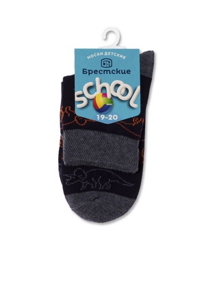БРЕСТСКИЕ 3081 SCHOOL НОСКИ ДЕТСКИЕ (с рисунком) 