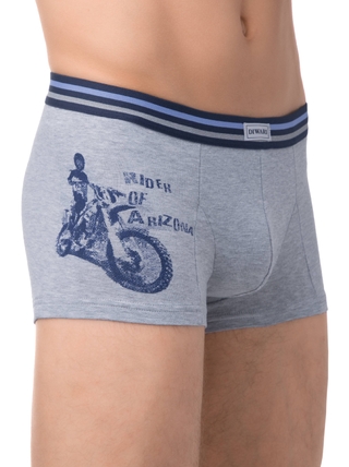 DIWARI TATTOO MSH 361 Трусы мужские (в коробке)