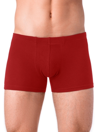 Брестские Трусы мужские ALFA BOXER 16С6300