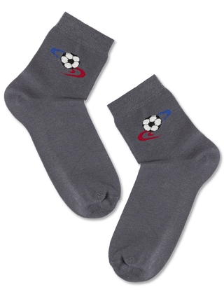 БРЕСТСКИЕ НОСКИ ДЕТСКИЕ 3081 SCHOOL (с рисунком)