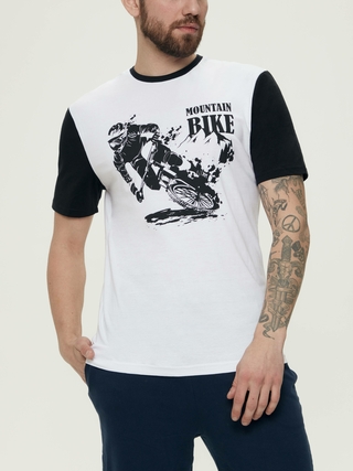 ESLI Джемпер мужской CTM2190092