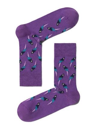 Брестские Носки мужские 2127 CLASSIC (яркая коллекция)