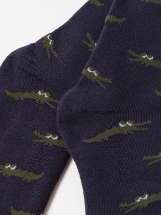 БРЕСТСКИЕ НОСКИ ДЕТСКИЕ 3060 SCHOOL (рисунок)