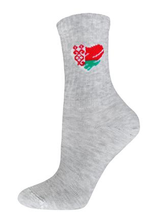 БРЕСТСКИЕ НОСКИ ДЕТСКИЕ 3076 SCHOOL (рисунок)