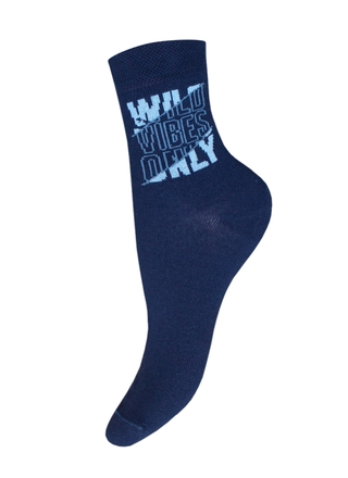 БРЕСТСКИЕ НОСКИ ДЕТСКИЕ 3081 SCHOOL (рисунок)