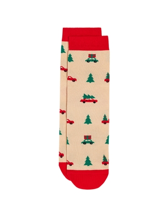 CONTE ELEGANT NEW YEAR Носки женские 21С-76СП