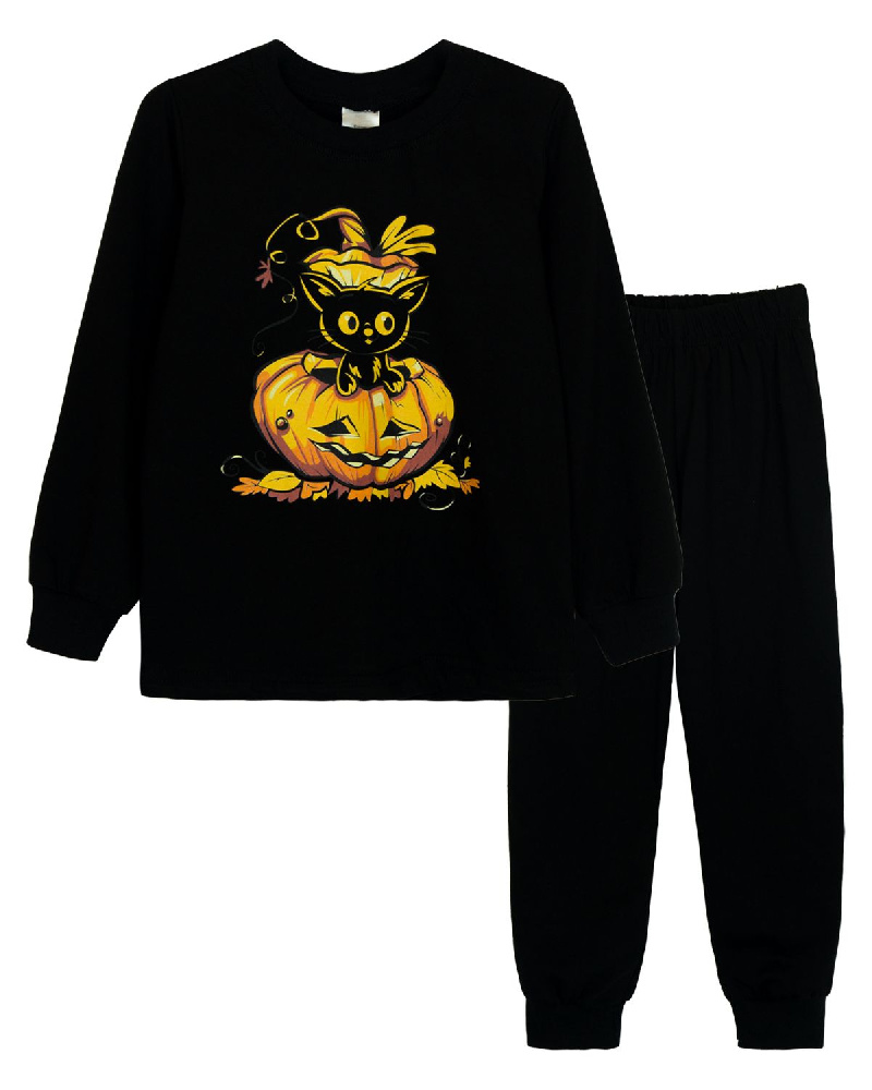 Пижама детская (брюки и джемпер) Пижама детская (брюки и джемпер)