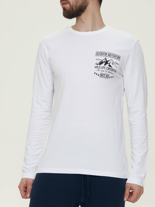 ESLI Джемпер мужской CTM2190091