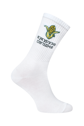 БРЕСТСКИЕ НОСКИ 4201 EVERY (удлиненные)