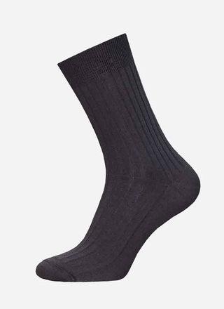 БРЕСТСКИЕ НОСКИ МУЖСКИЕ 2220 BASIC (хлопок 100%)