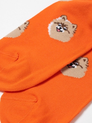 Брестские Носки 4200 PETS (средней длины)