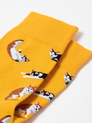 Брестские Носки 4200 PETS (средней длины)