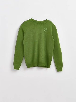 ESLI Джемпер для мальчиков 16С-32СП