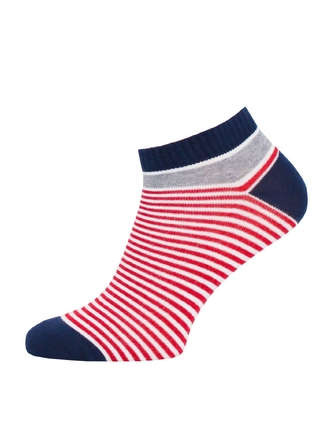 БРЕСТСКИЕ НОСКИ ДЕТСКИЕ 3087 SCHOOL