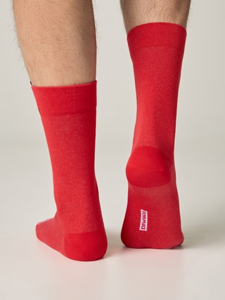 DIWARI NEW YEAR 19С-90СП Носки мужские