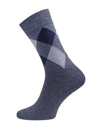 Брестские Носки мужские 2145 CLASSIC