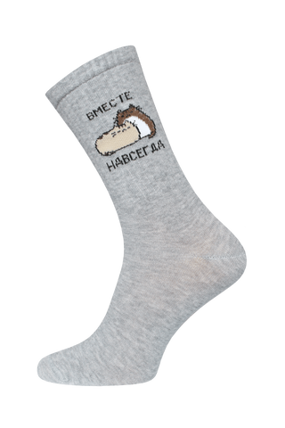 БРЕСТСКИЕ НОСКИ 4201 EVERY (удлиненные)