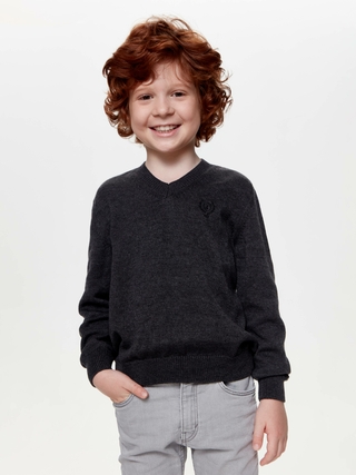 ESLI 20C-126СП Джемпер для мальчика 