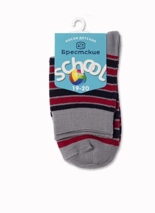 БРЕСТСКИЕ НОСКИ ДЕТСКИЕ 3081 SCHOOL (с рисунком)