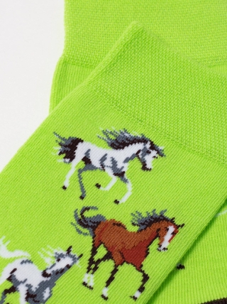 Брестские Носки 4200 PETS (средней длины)