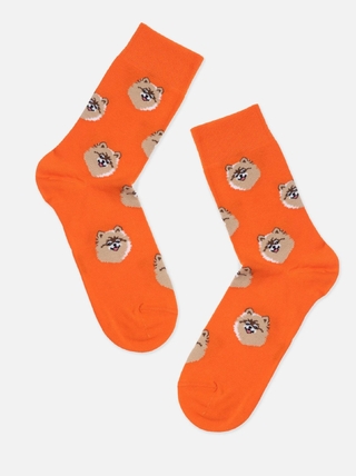 Брестские Носки 4200 PETS (средней длины)