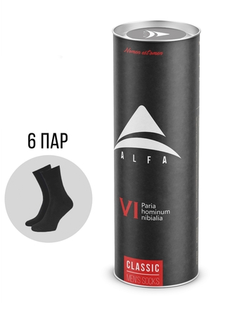 ALFA CLASSIC 2160-6 В ТУБУСЕ Носки мужские