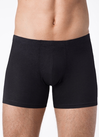 Брестские Трусы мужские ALFA BOXER 19С6304